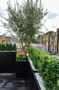Roof terrace London