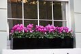 Window box company