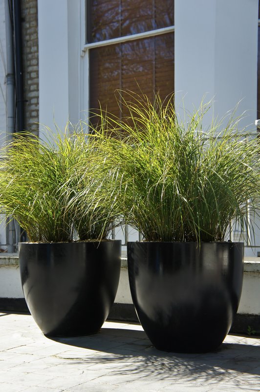 Tall Grass Planter Pots
