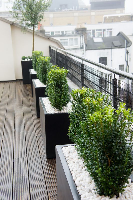 Image Result For Deck Roof Image Result For Deck Roof