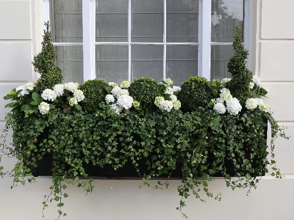 Window boxes London | Design, installation, maintenance | London Planters