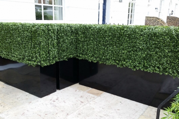 Artificial Buxus hedge