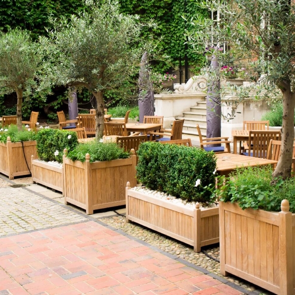 Bespoke hardwood planters Olive trees