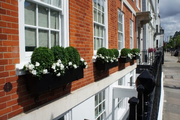 Window boxes Marylebone