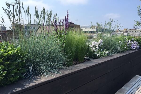 Roof terrace Fitzrovia Burnt wood Shou Sugi Ban