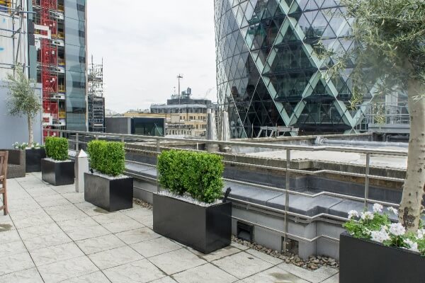 Roof terrace The Gherkin