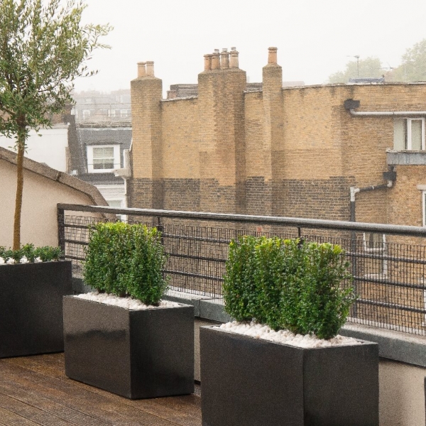 Roof terrace polystone planters