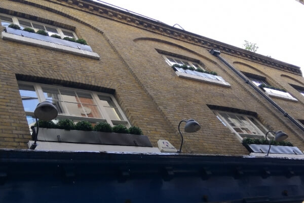 Window boxes with Buxus balls