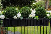 Black.metal.planters.Buxus.balls