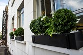 Contemporary.window.boxes.London