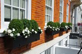 Window.boxes.Mayfair.London