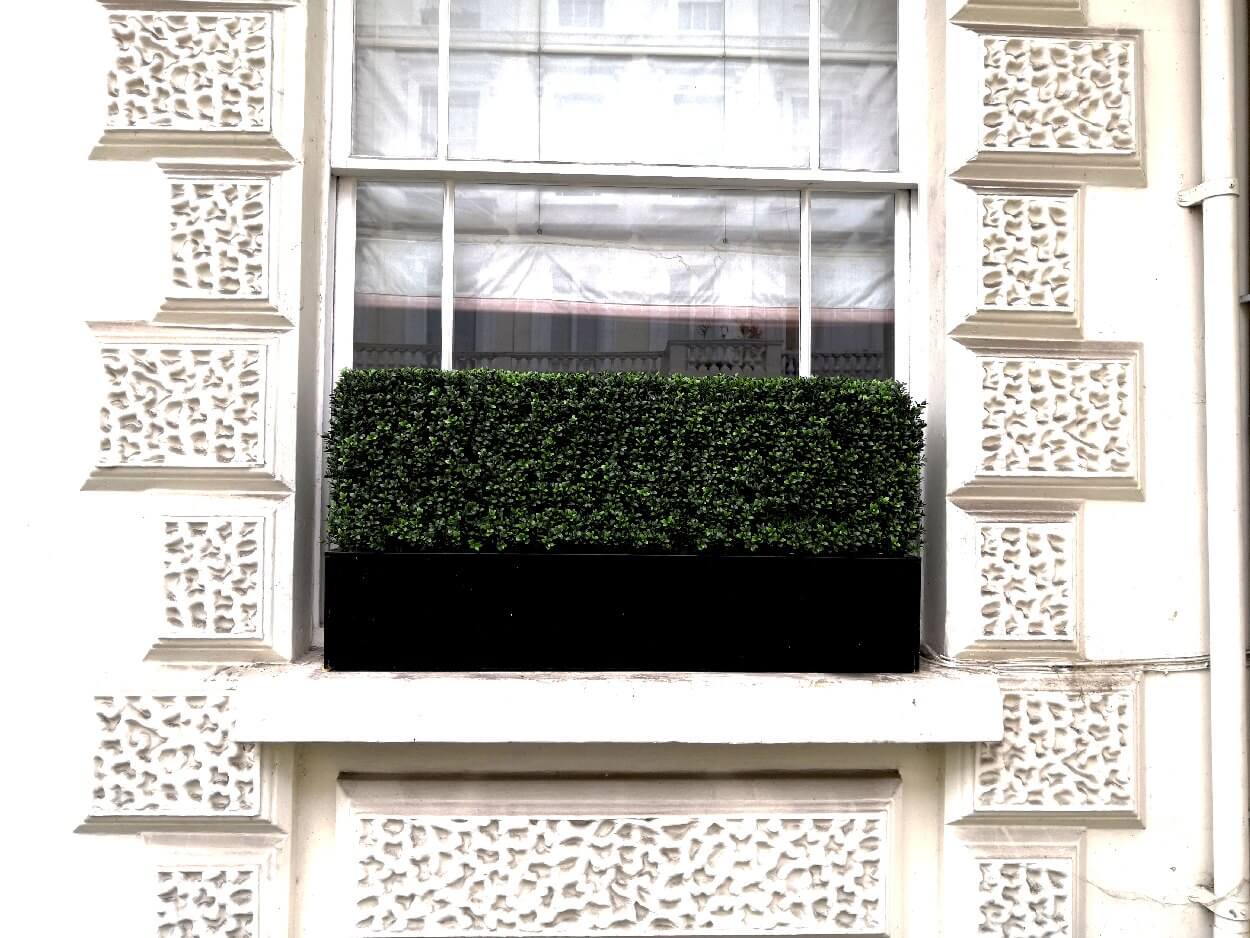 Artificial Buxus hedge in Polystone planter London Planters