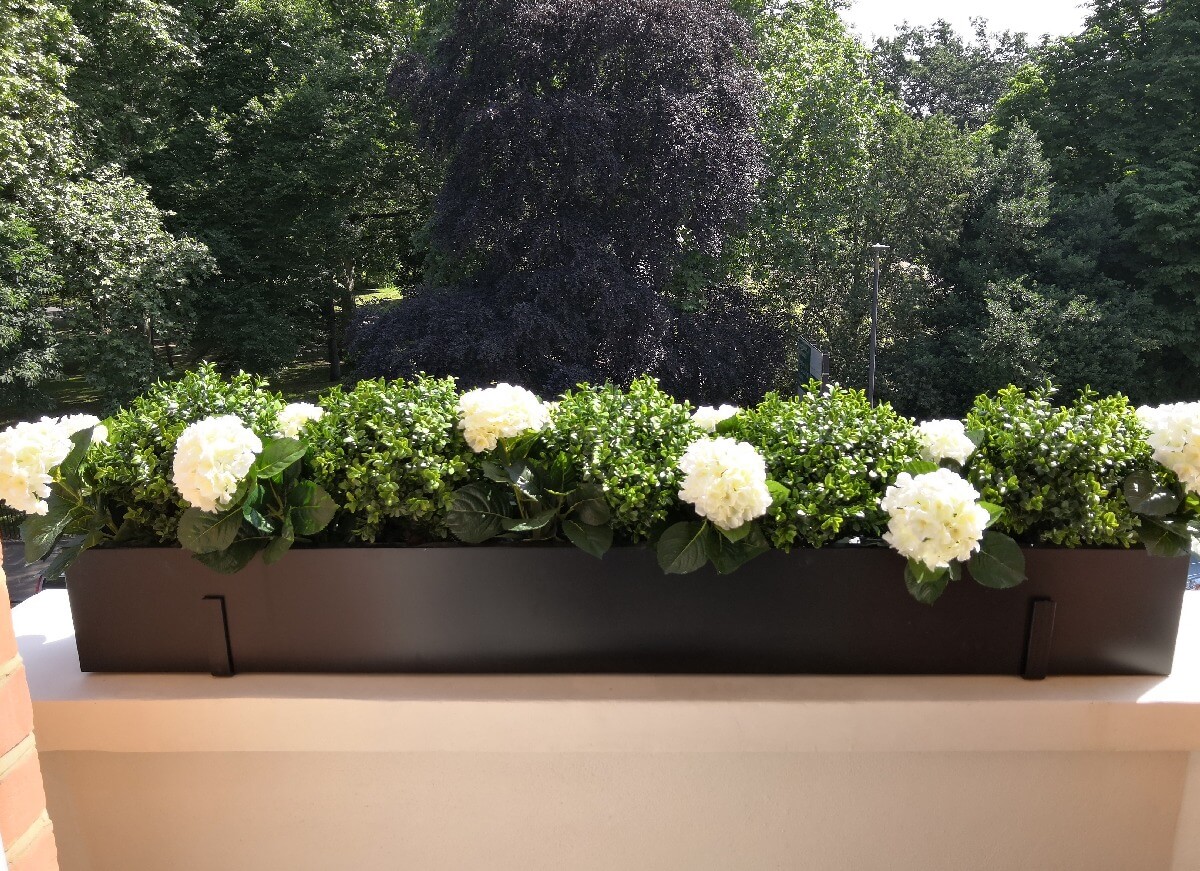 Artificial Buxus balls and Hydrangea – London Planters