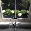 Artificial Buxus balls and Hydrangeas