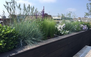 Roof terrace Fitzrovia Burnt wood Shou Sugi Ban