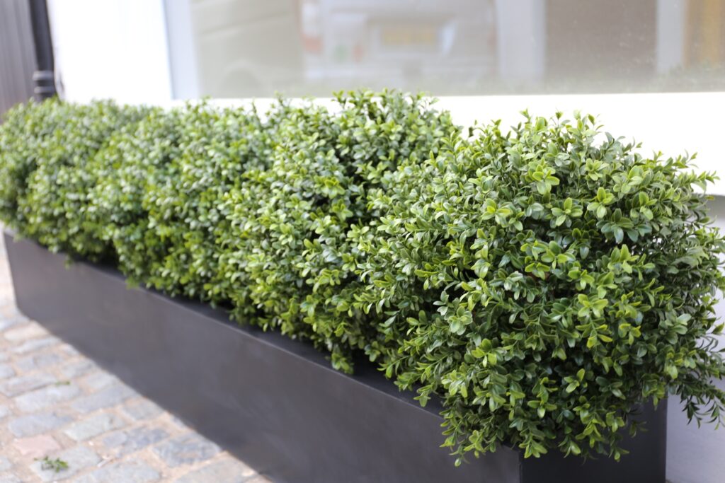 Black Polystone Trough Planter - London Planters