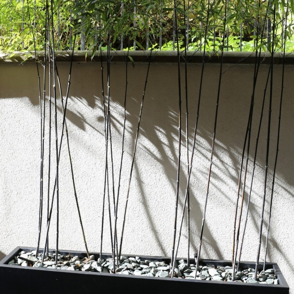 Bespoke metal planters bamboo