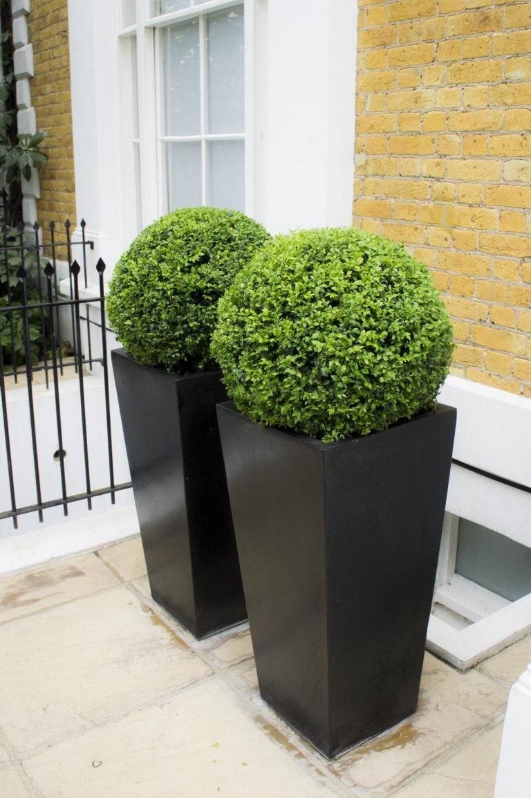 Polystone Tall Black Flared Square Planter with Buxus ball D 40cm London Planters