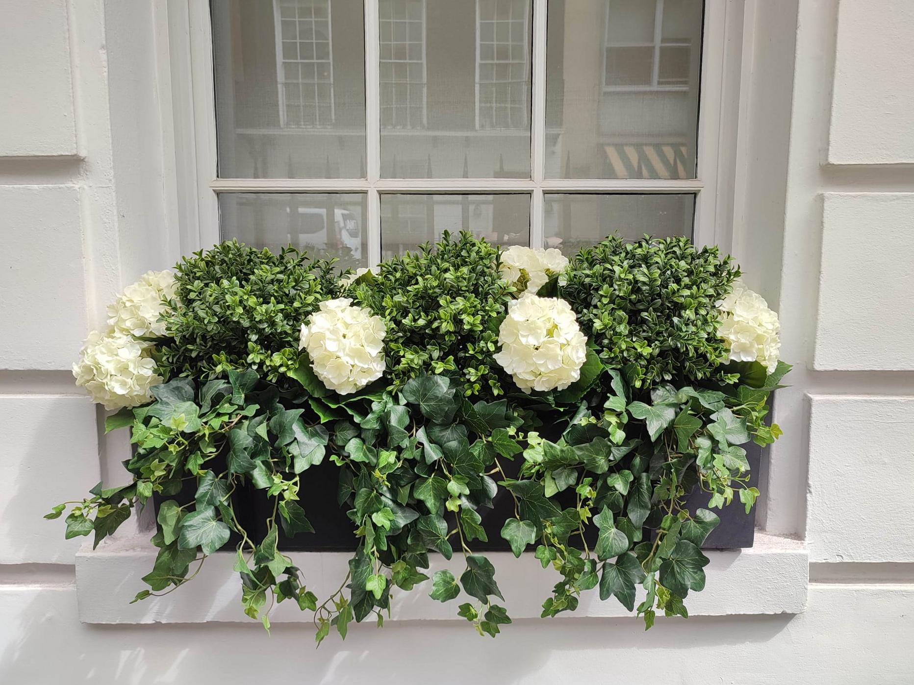 buxus balls and hydrangea and ivy