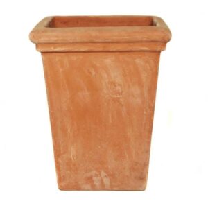 Terracotta Camelia Square tall pot