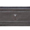 Lion head trough planter