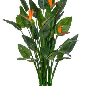 Artificial Strelitzia
