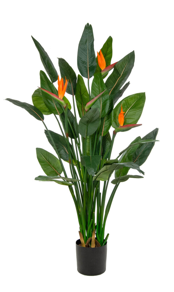 Artificial Strelitzia